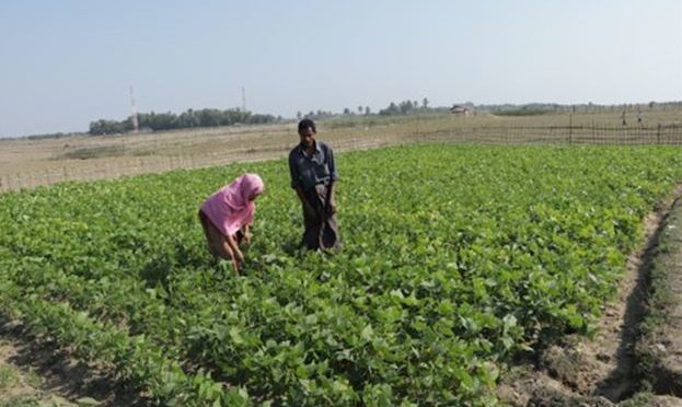 Planting seeds of change in Myanmar