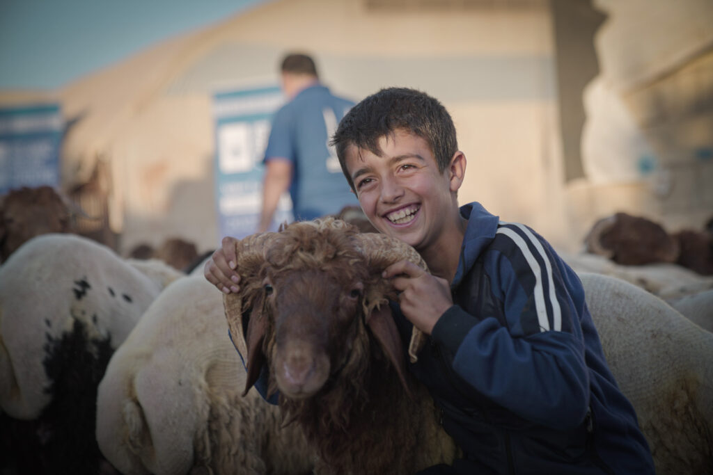 boy in syria with sheep, giving qurban is a sacred duty