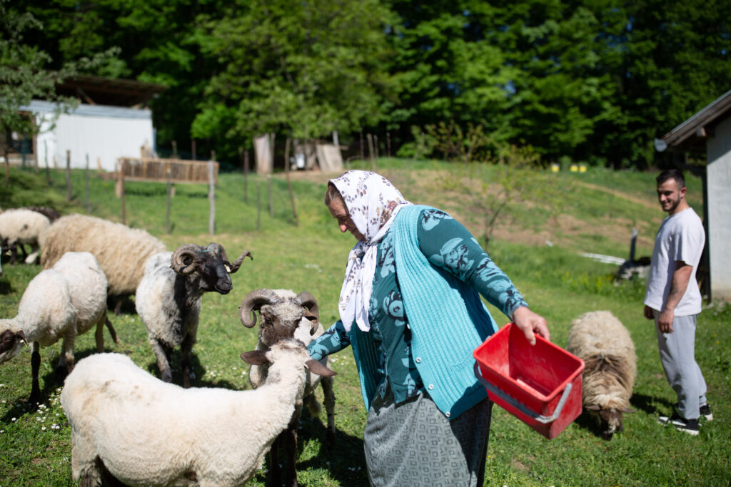 Umija, a survivor of Srebrenica, raising sheep on her farm